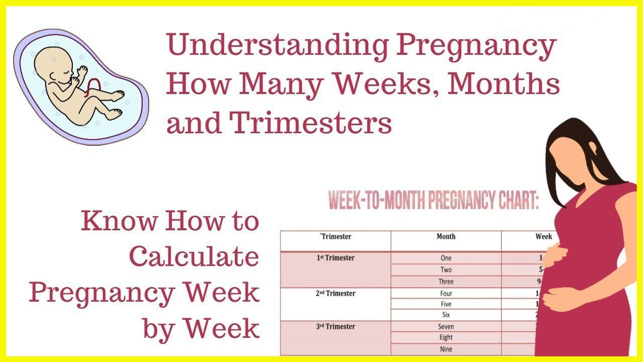 Make a Pregnancy Calendar WeekByWeek